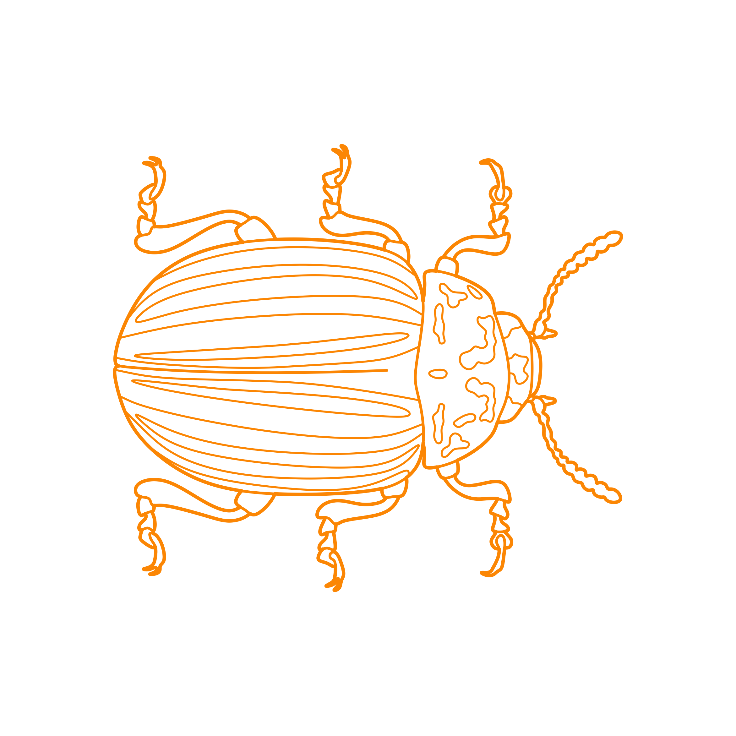 Animals Insects Colorado Potato Beetle Stencil Svg Design File Free Vectors